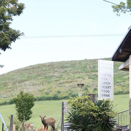 Mountain Home Lodge In Deer Park Nara Exteriér fotografie