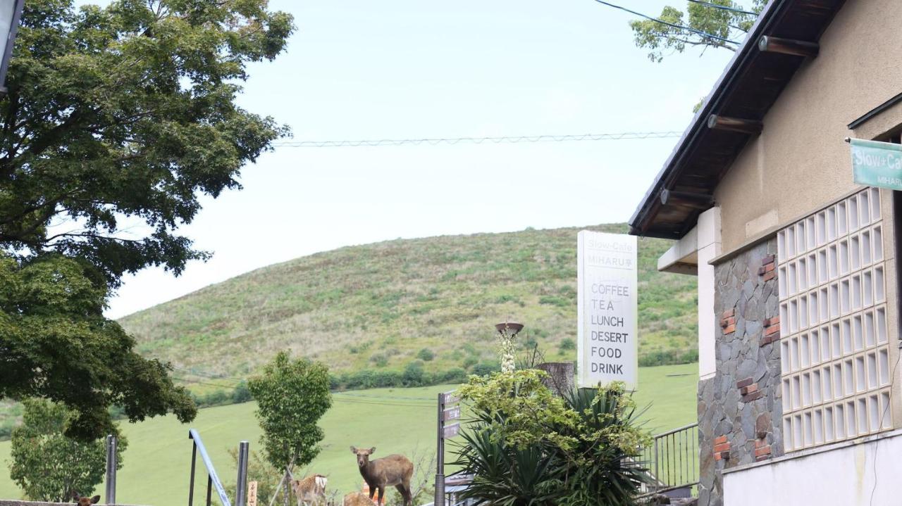 Mountain Home Lodge In Deer Park Nara Exteriér fotografie