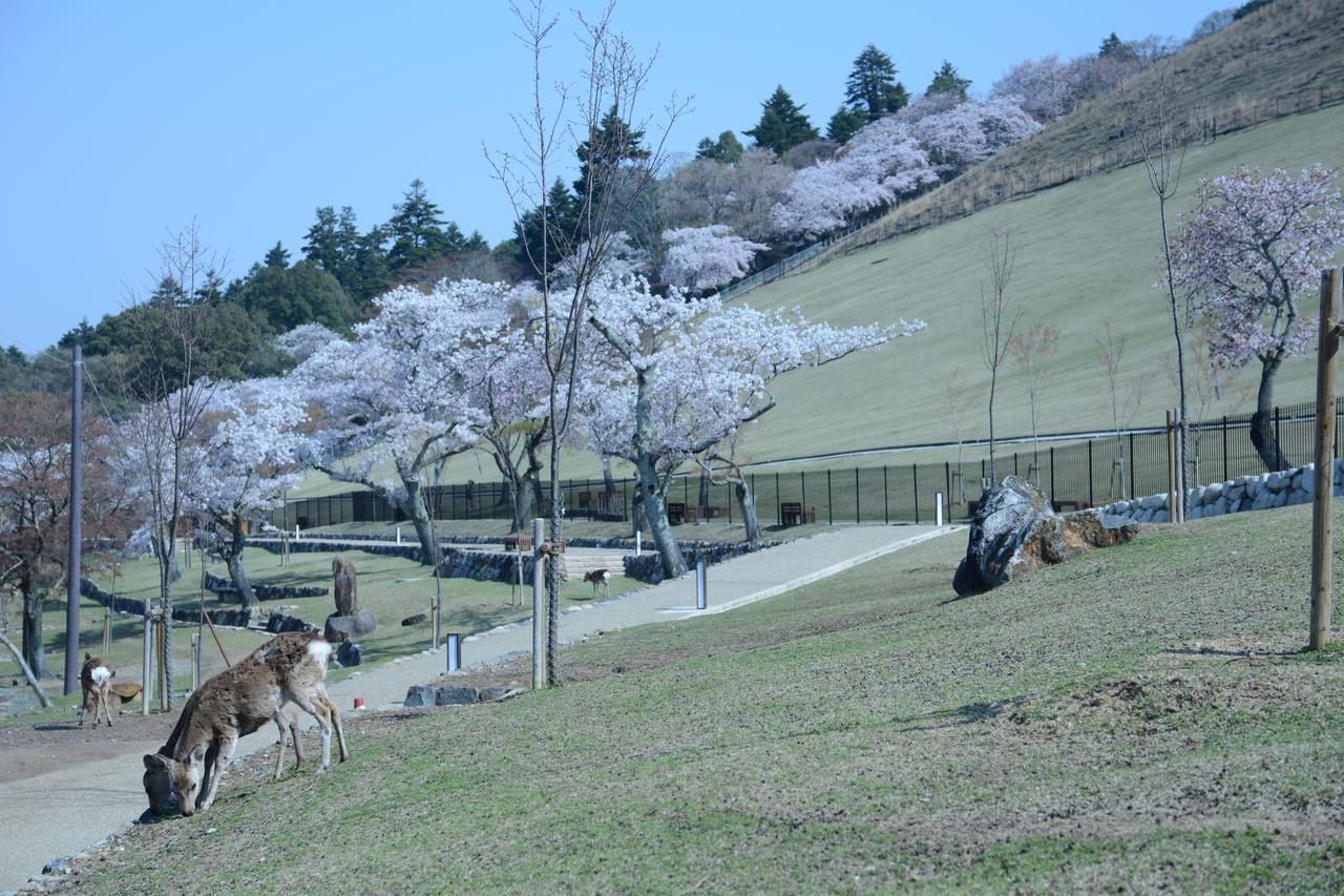 Mountain Home Lodge In Deer Park Nara Exteriér fotografie