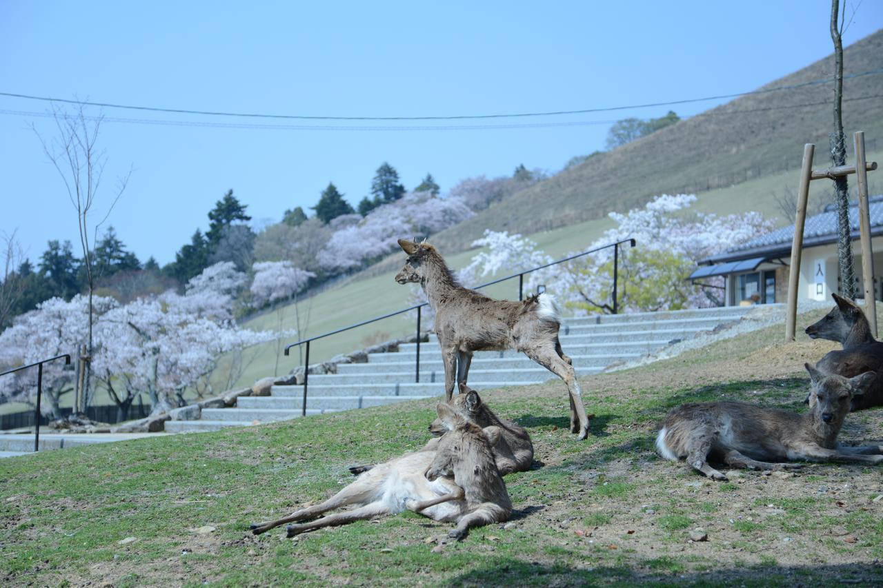 Mountain Home Lodge In Deer Park Nara Exteriér fotografie